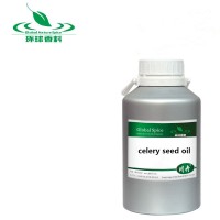 Hot sale & high quality celery seed oil / Celery Seed Essential Oil in low price ,Cas:8015-90-5