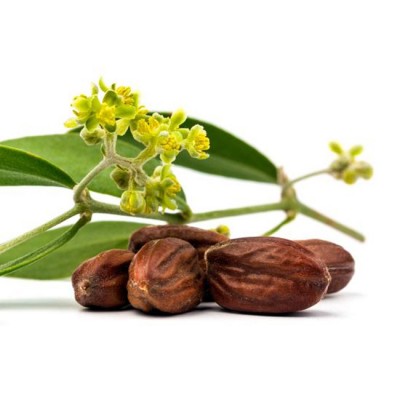 100% Natural Jojoba Oil Golden