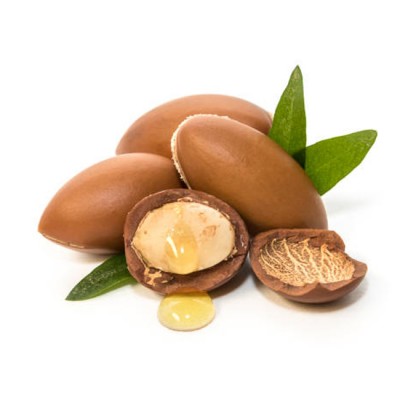 Wholesaler Supplier for Argan Oil