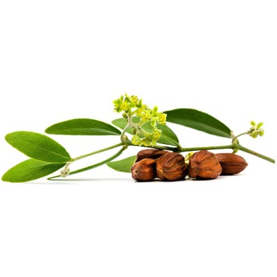 Hot Sale Jojoba Carrier Oil/Jojoba Oil