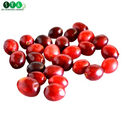 Fresh Cranberry Seed Oil Conventional