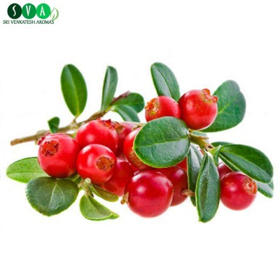 2018 Best Quality Organic Cranberry Seed Oil in Bulk